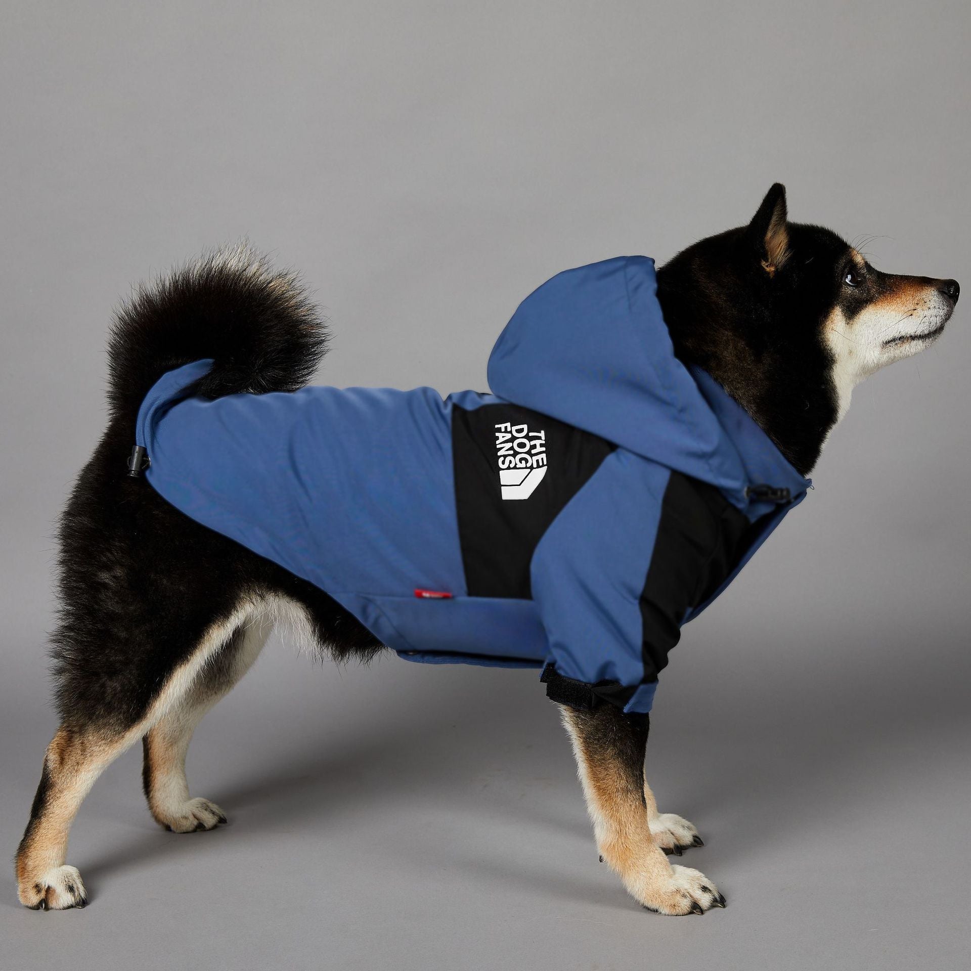 The Dog Fans Regenjacke in Blau